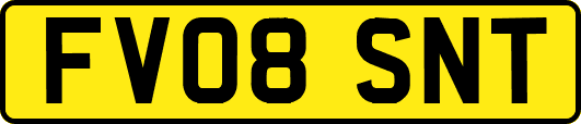 FV08SNT