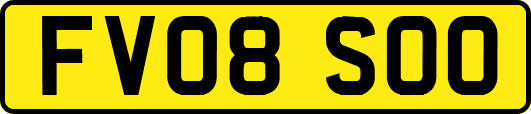 FV08SOO