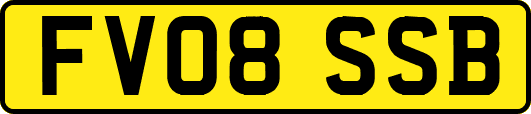 FV08SSB