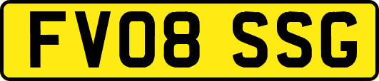 FV08SSG