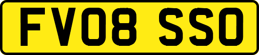 FV08SSO