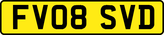 FV08SVD