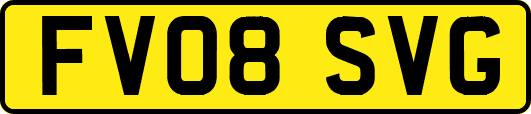 FV08SVG