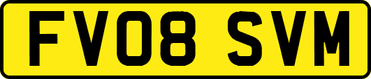 FV08SVM