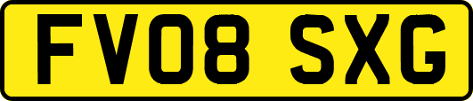 FV08SXG