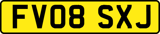 FV08SXJ