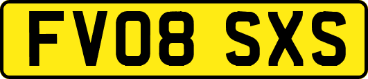 FV08SXS