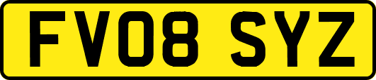 FV08SYZ