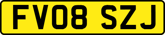 FV08SZJ