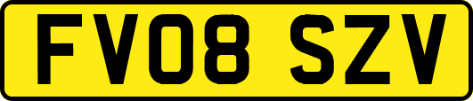 FV08SZV