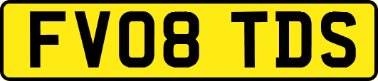 FV08TDS