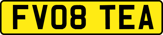 FV08TEA