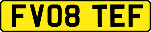 FV08TEF