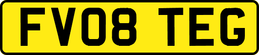 FV08TEG