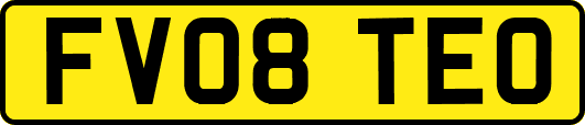 FV08TEO