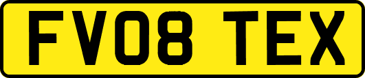 FV08TEX