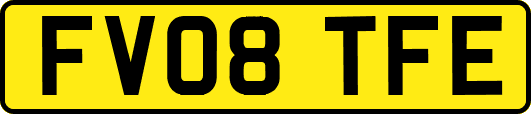 FV08TFE