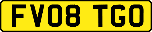 FV08TGO