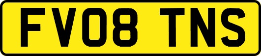FV08TNS