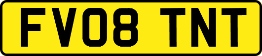 FV08TNT