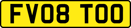 FV08TOO