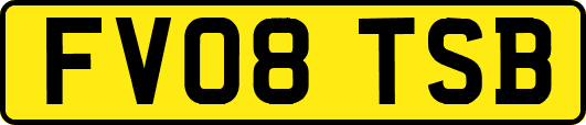 FV08TSB