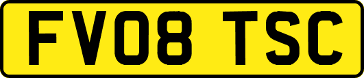 FV08TSC