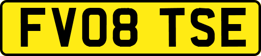 FV08TSE