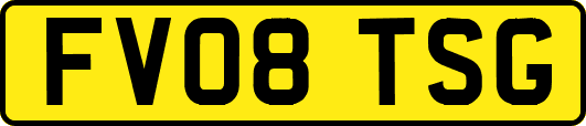 FV08TSG