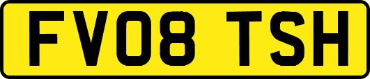 FV08TSH