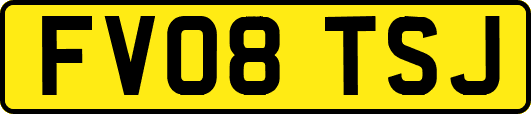FV08TSJ