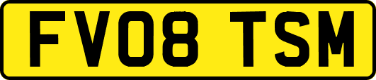 FV08TSM