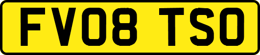 FV08TSO