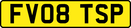 FV08TSP