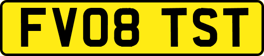 FV08TST