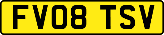 FV08TSV