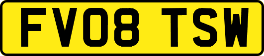 FV08TSW