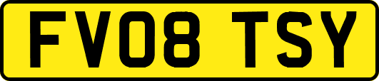 FV08TSY