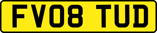 FV08TUD