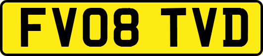 FV08TVD