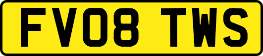 FV08TWS