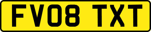 FV08TXT