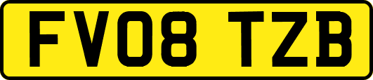 FV08TZB
