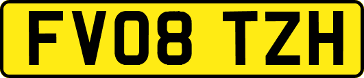 FV08TZH