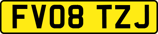 FV08TZJ