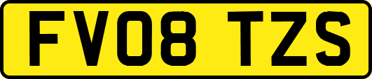 FV08TZS