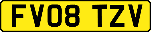FV08TZV