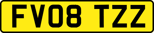 FV08TZZ