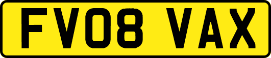 FV08VAX