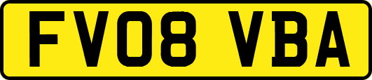 FV08VBA